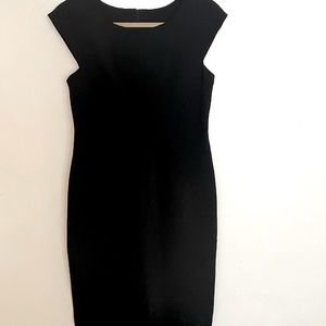 Banana Republic Dress Size 12